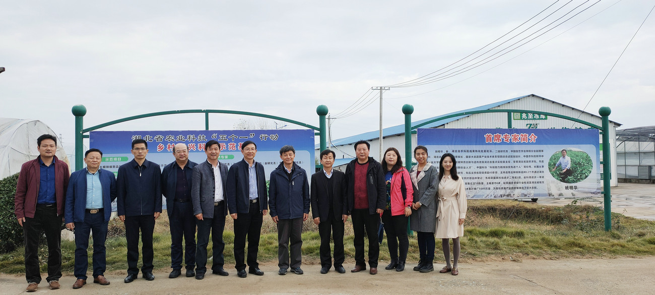 中國蔬菜協(xié)會會長楊雄年來公司基地視察指導(dǎo)工作