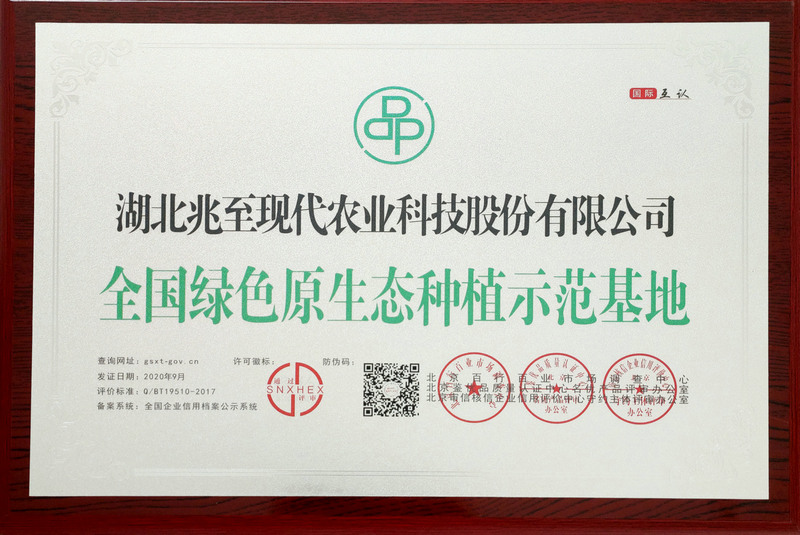 綠色原生態(tài)種植示范基地